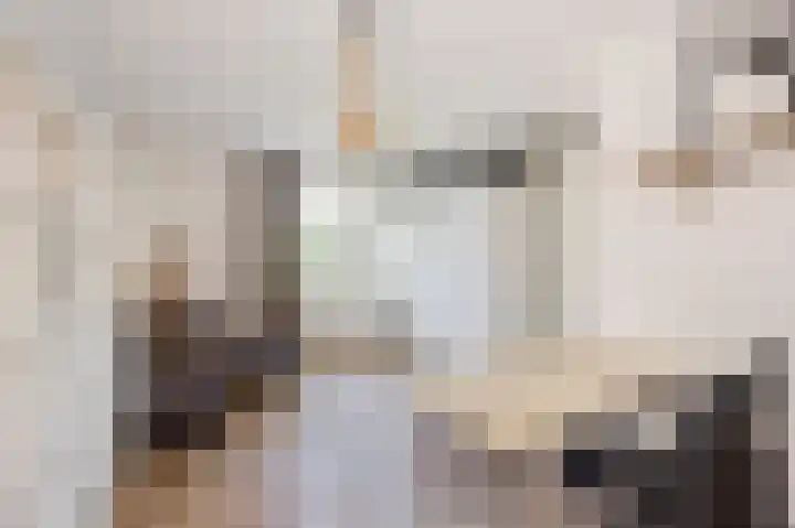 Haagbeukstraat 5 Echt thumbnail 33