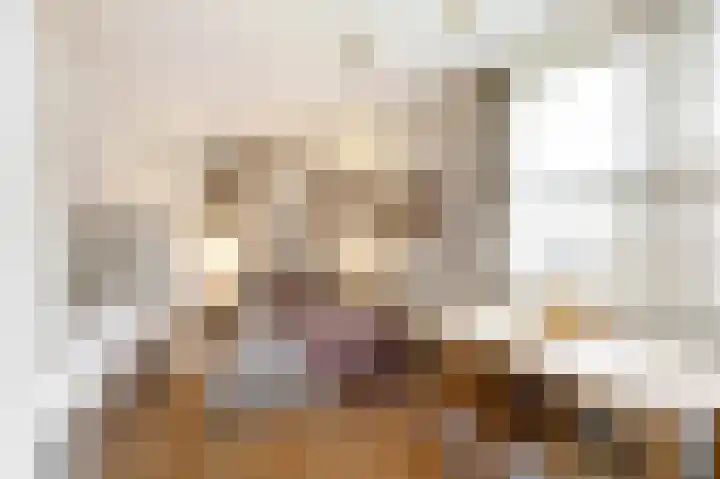 Haagbeukstraat 5 Echt thumbnail 34