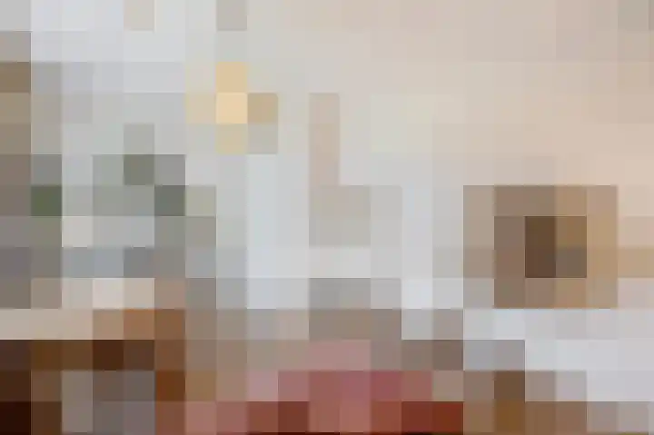 Haagbeukstraat 5 Echt thumbnail 36