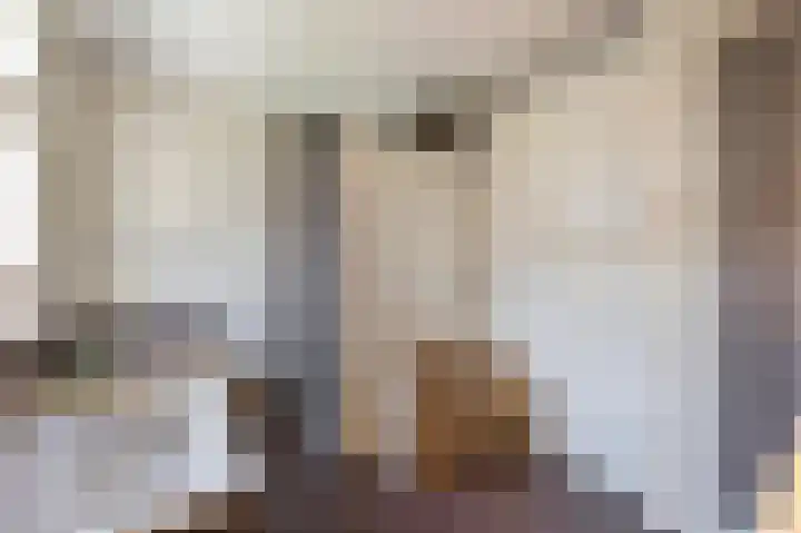 Haagbeukstraat 5 Echt thumbnail 39