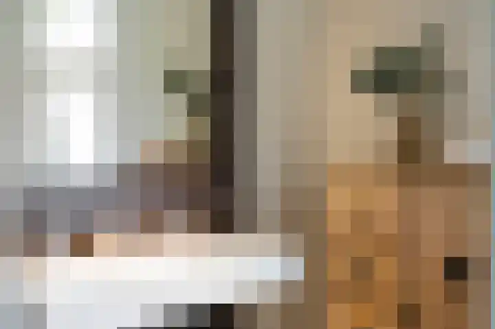 Haagbeukstraat 5 Echt thumbnail 41