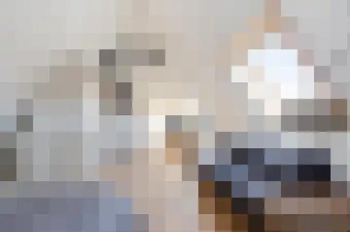 Haagbeukstraat 5 Echt thumbnail 45