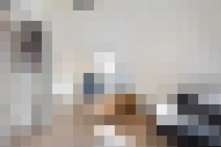 Haagbeukstraat 5 Echt thumbnail 46