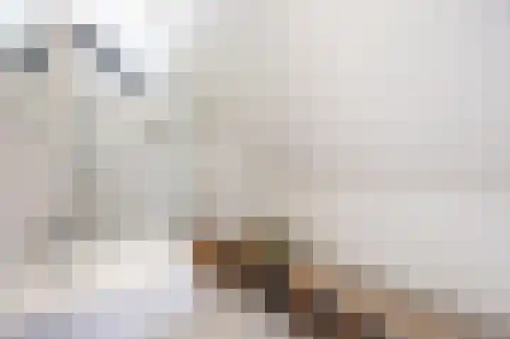 Haagbeukstraat 5 Echt thumbnail 47