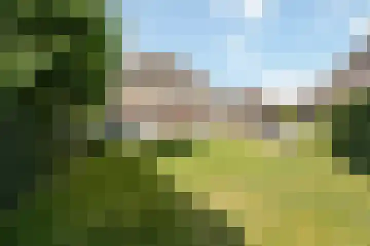 Haagbeukstraat 5 Echt thumbnail 51