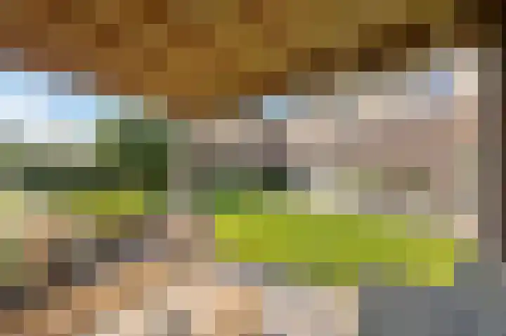 Haagbeukstraat 5 Echt thumbnail 53