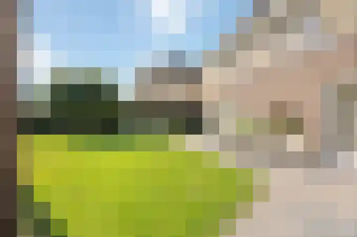 Haagbeukstraat 5 Echt thumbnail 54