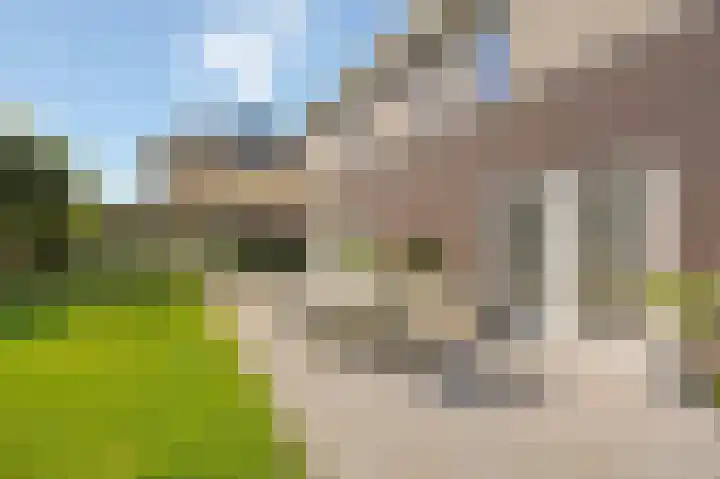 Haagbeukstraat 5 Echt thumbnail 55
