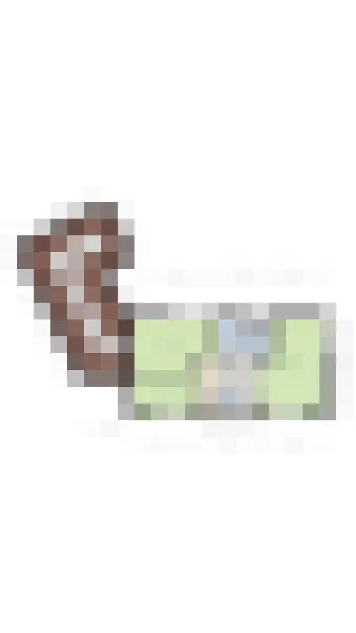 Haagbeukstraat 5 Echt thumbnail 60