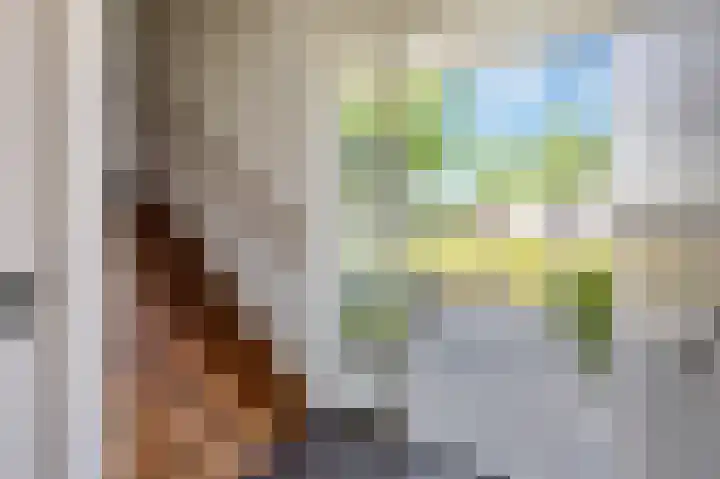 Haagbeukstraat 5 Echt thumbnail 7