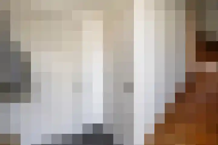 Haagbeukstraat 5 Echt thumbnail 8