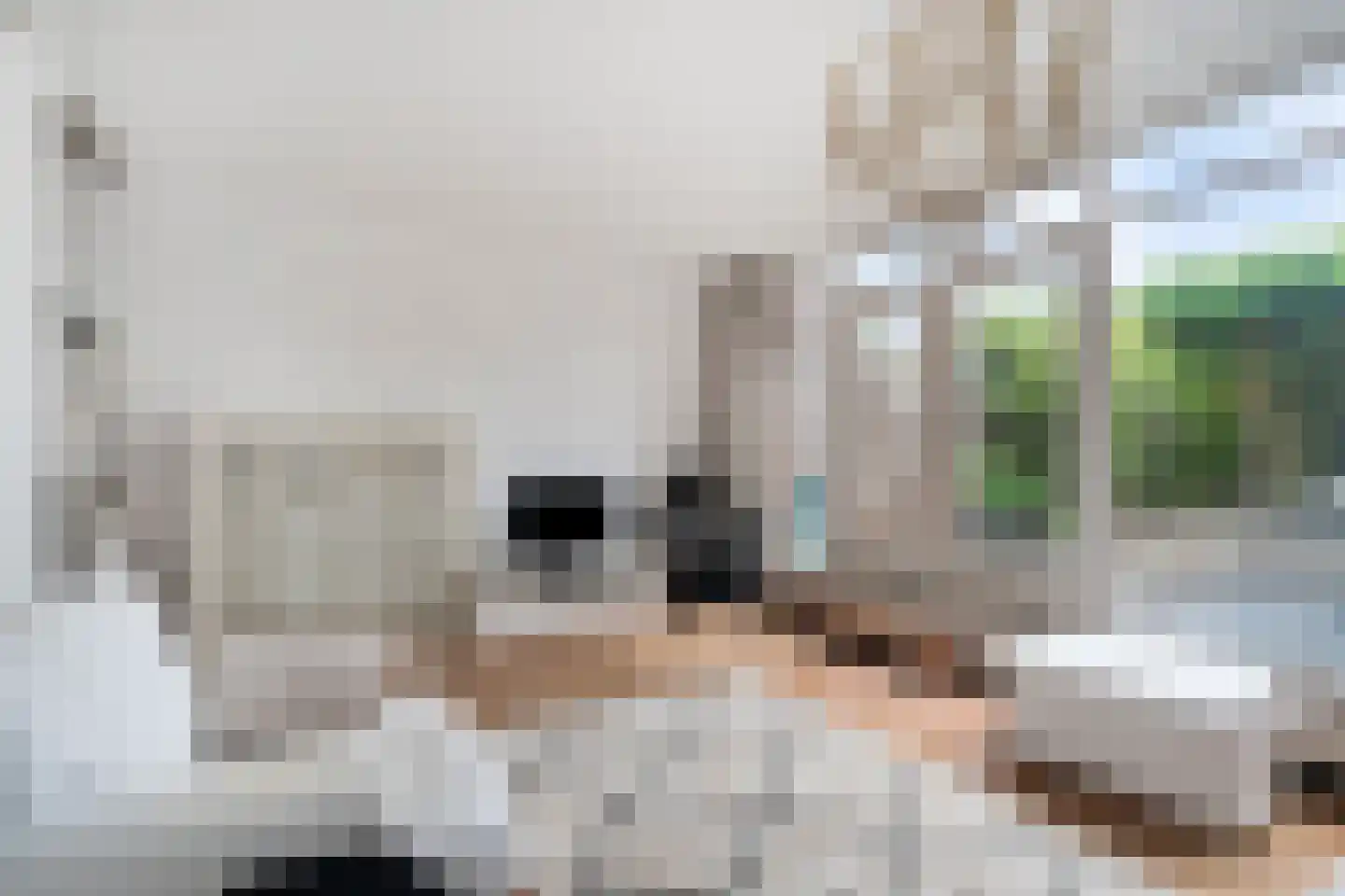 Haagbeukstraat 54 Schagen thumbnail 12