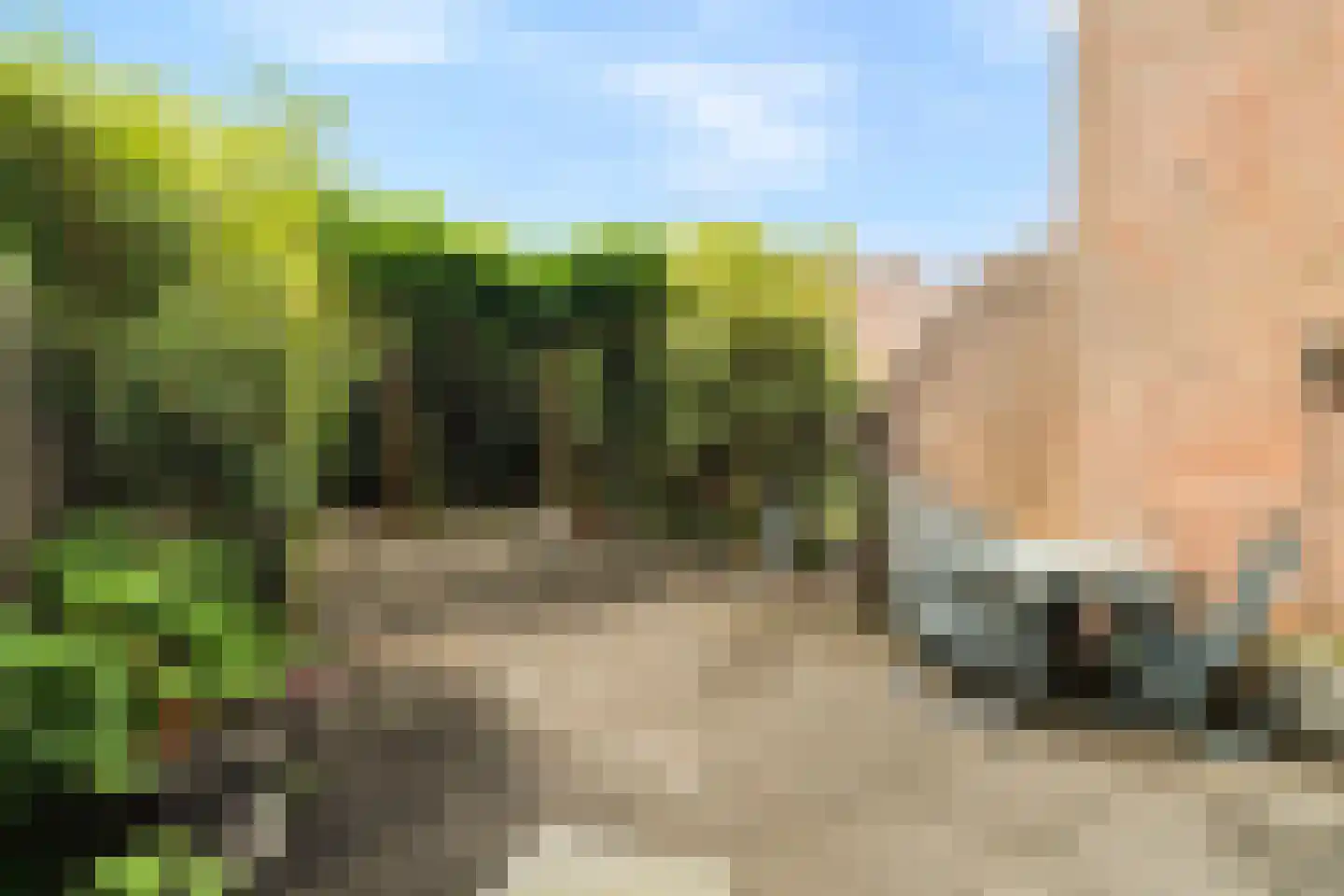 Haagbeukstraat 54 Schagen thumbnail 14