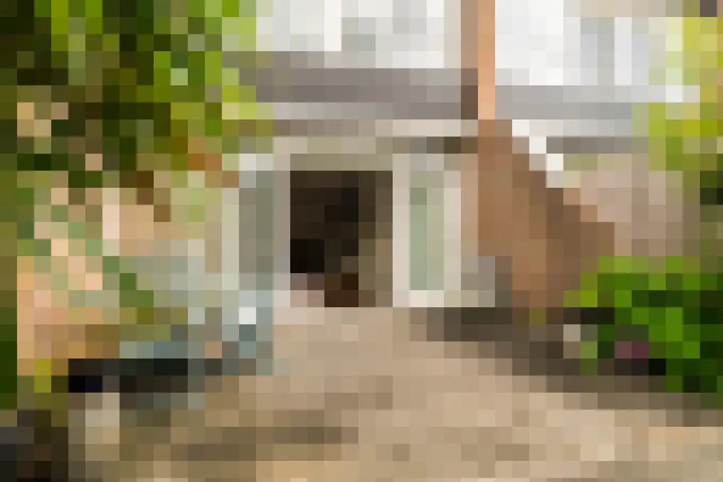 Haagbeukstraat 54 Schagen thumbnail 17