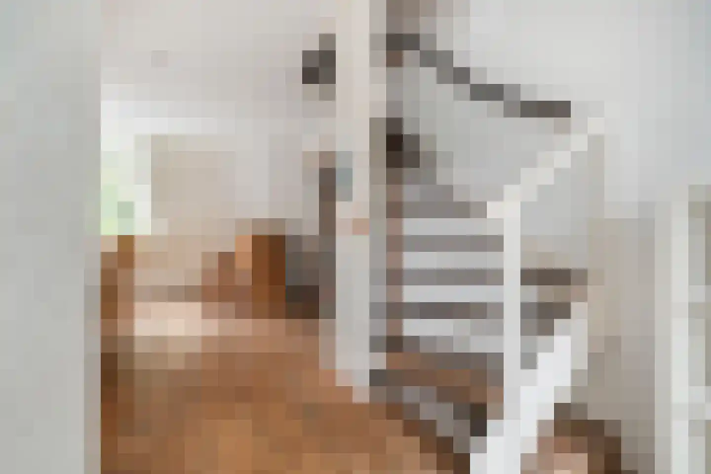 Haagbeukstraat 54 Schagen thumbnail 21