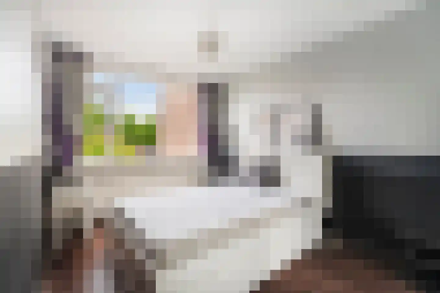 Haagbeukstraat 54 Schagen thumbnail 29