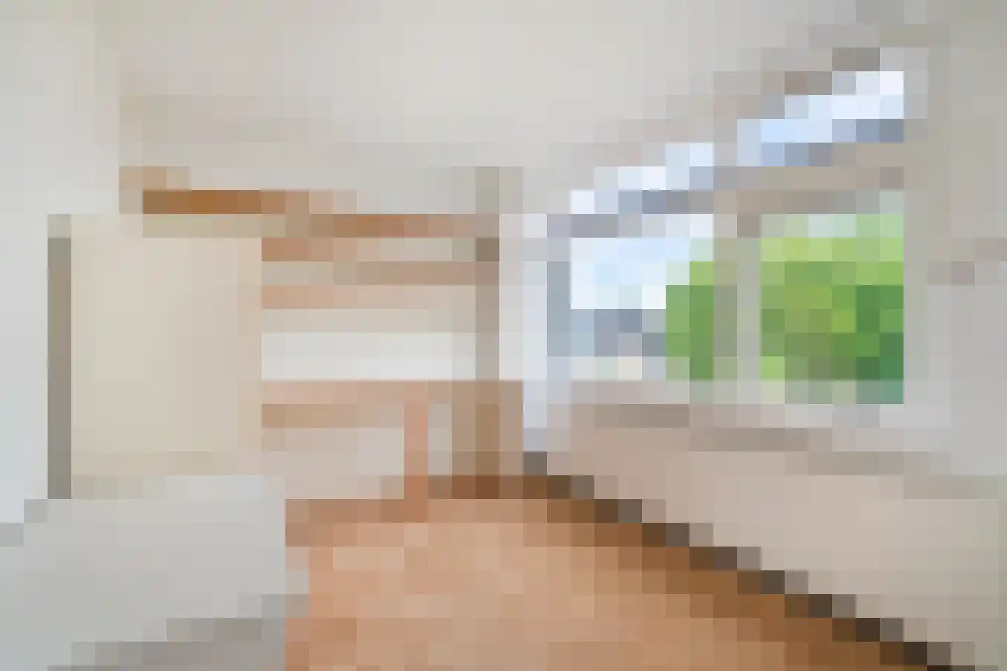 Haagbeukstraat 54 Schagen thumbnail 34
