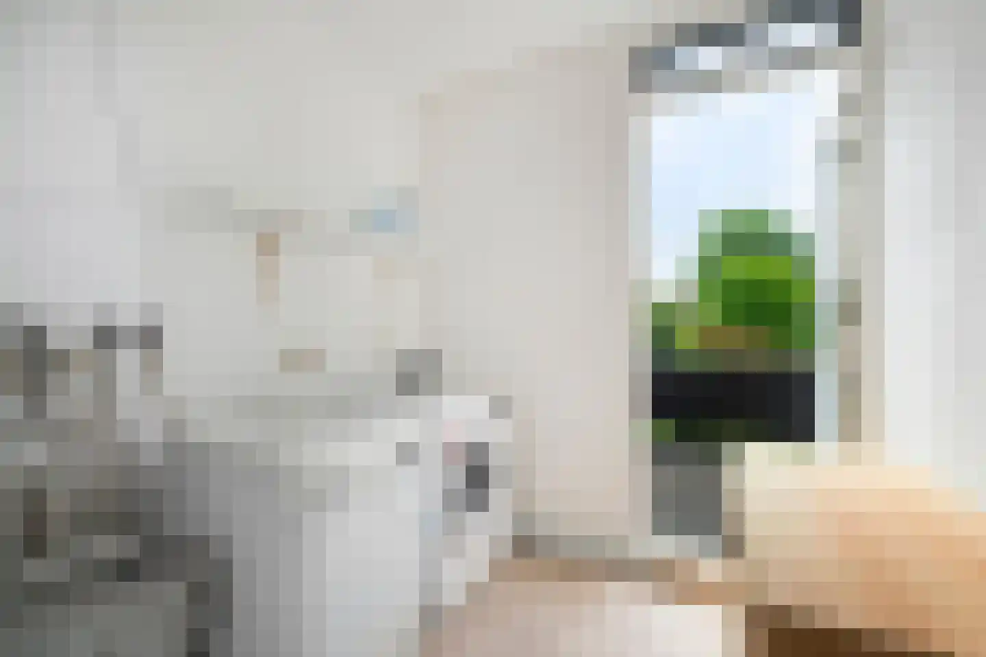 Haagbeukstraat 54 Schagen thumbnail 36
