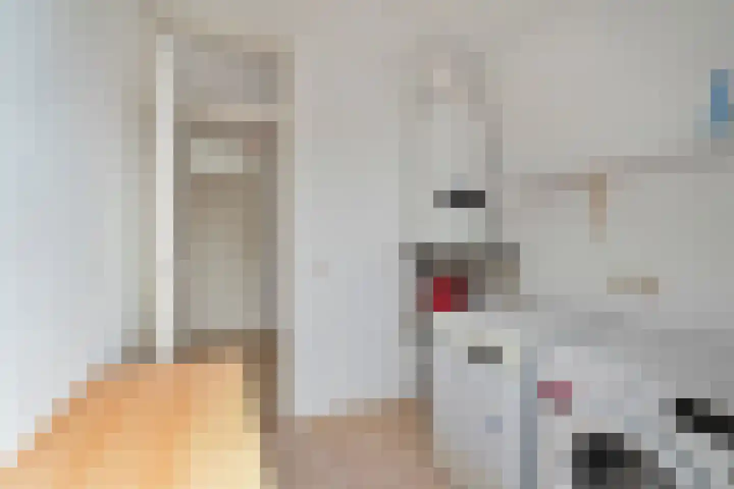 Haagbeukstraat 54 Schagen thumbnail 37