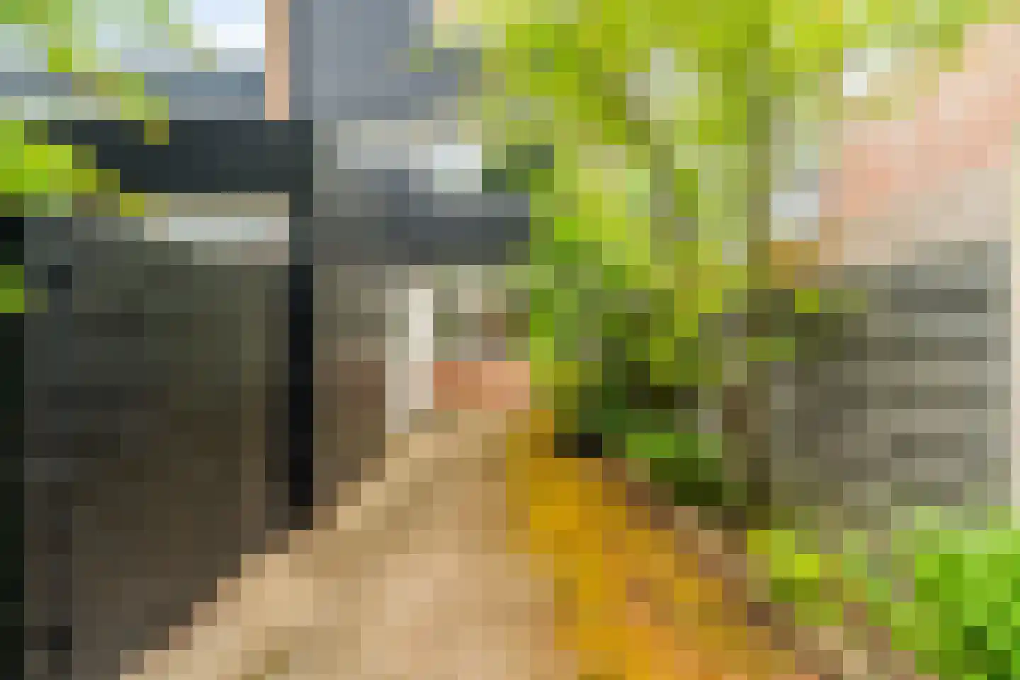 Haagbeukstraat 54 Schagen thumbnail 5