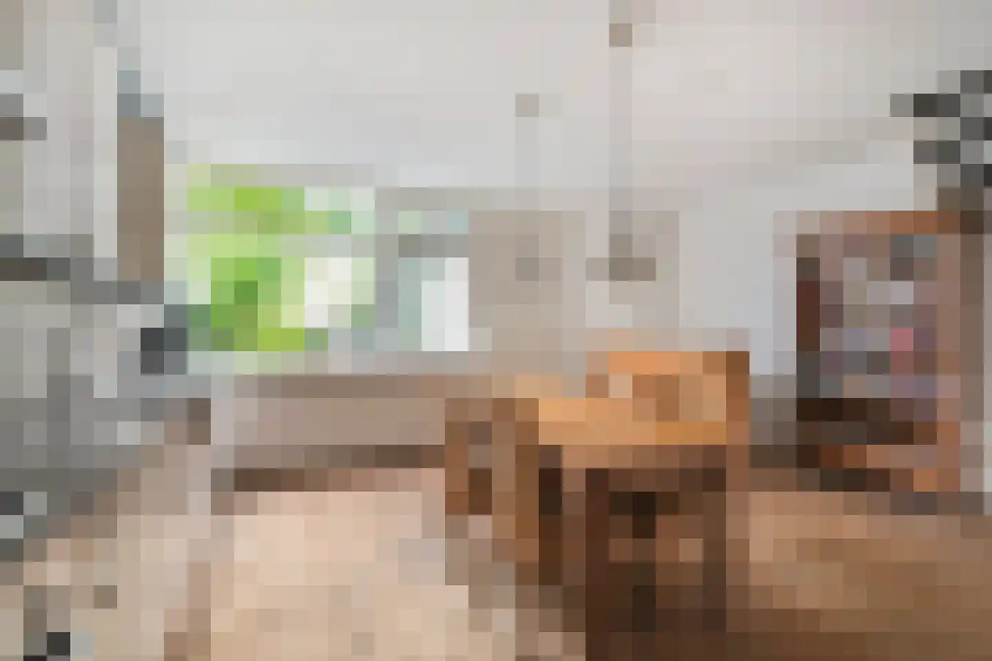 Haagbeukstraat 54 Schagen thumbnail 8