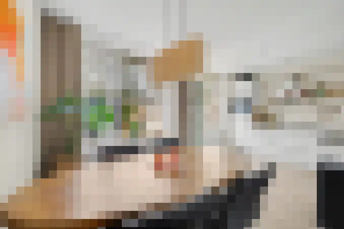 Haagbeukstraat 74 Lent thumbnail 11
