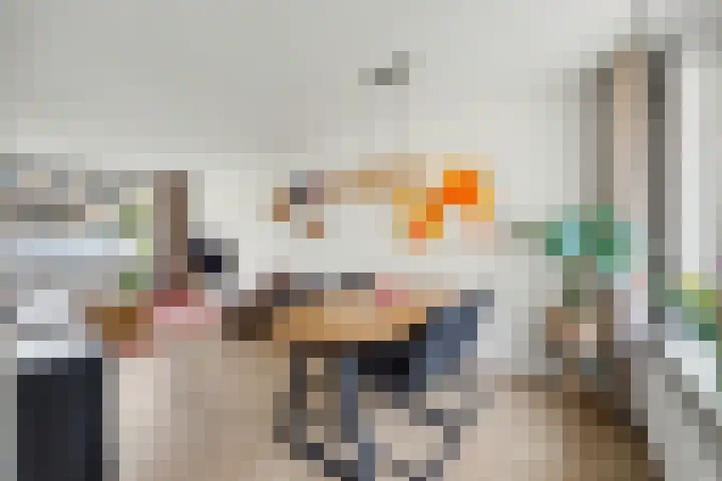 Haagbeukstraat 74 Lent thumbnail 12