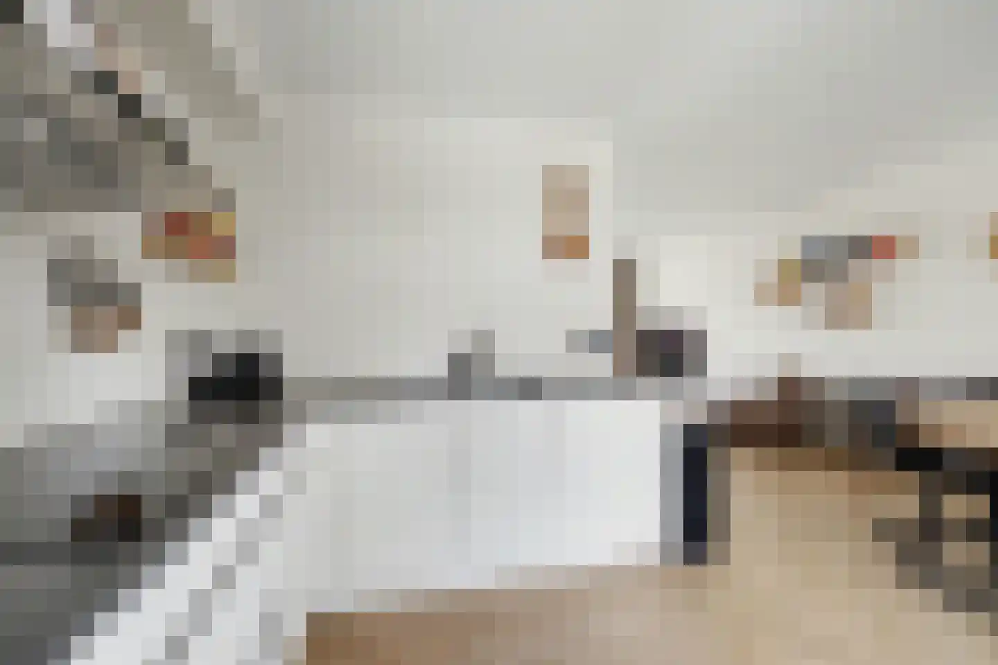 Haagbeukstraat 74 Lent thumbnail 14