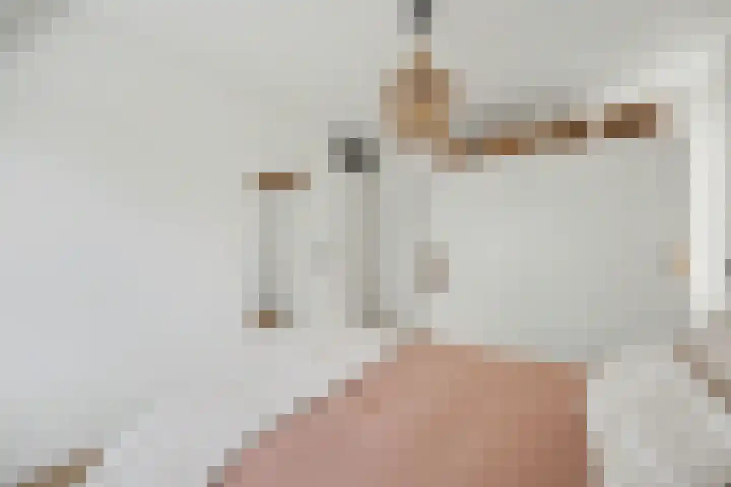 Haagbeukstraat 74 Lent thumbnail 19