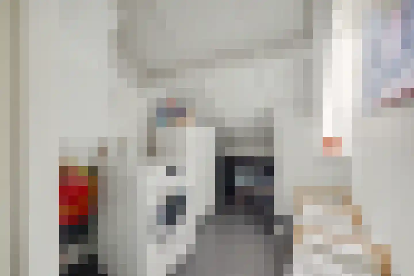 Haagbeukstraat 74 Lent thumbnail 23