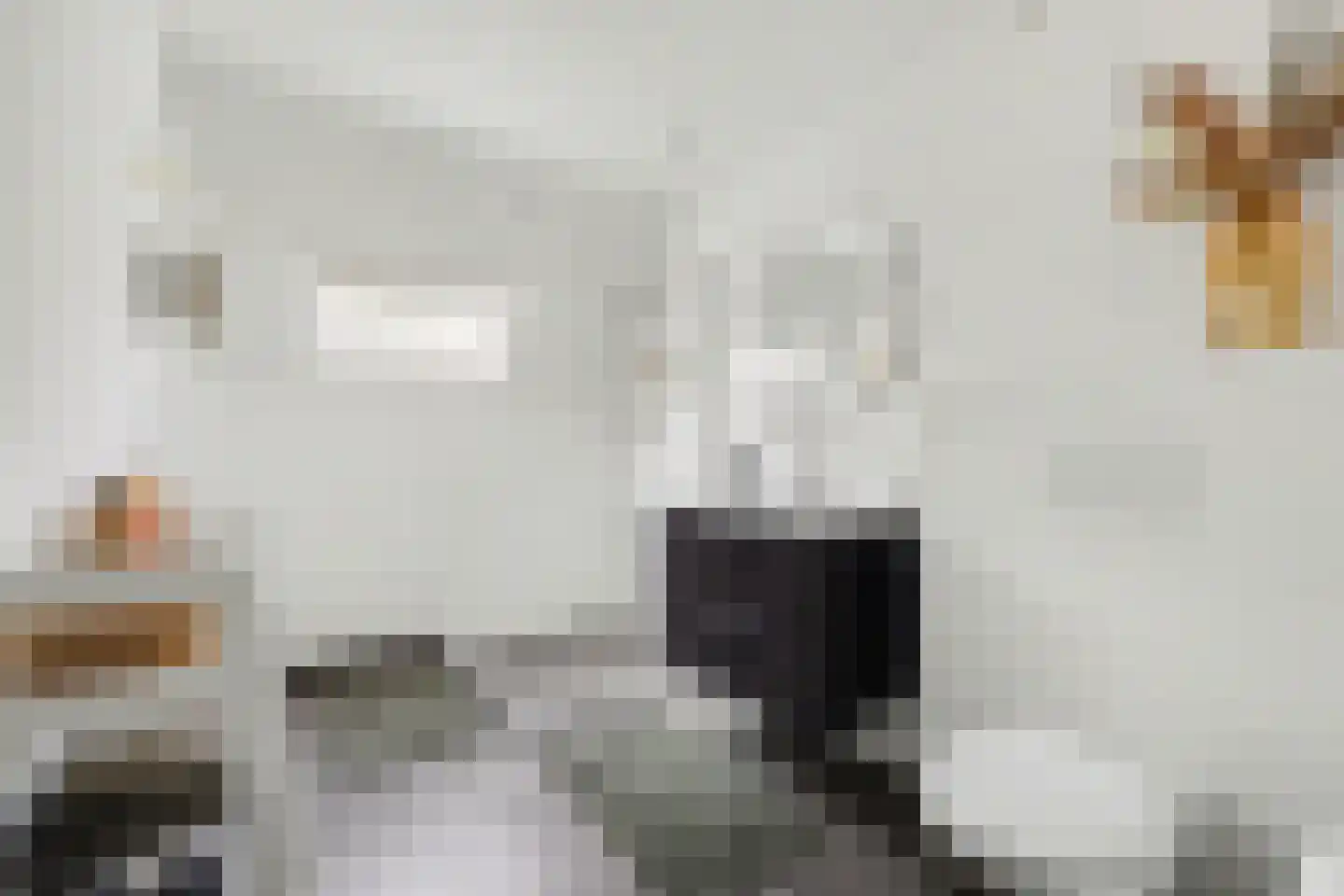 Haagbeukstraat 74 Lent thumbnail 24