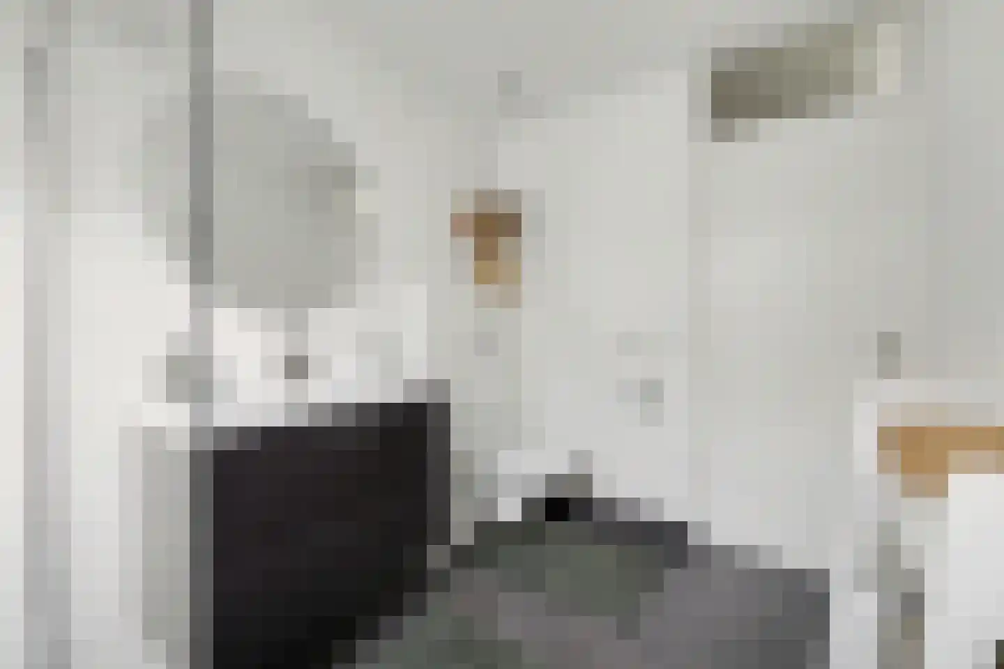 Haagbeukstraat 74 Lent thumbnail 25