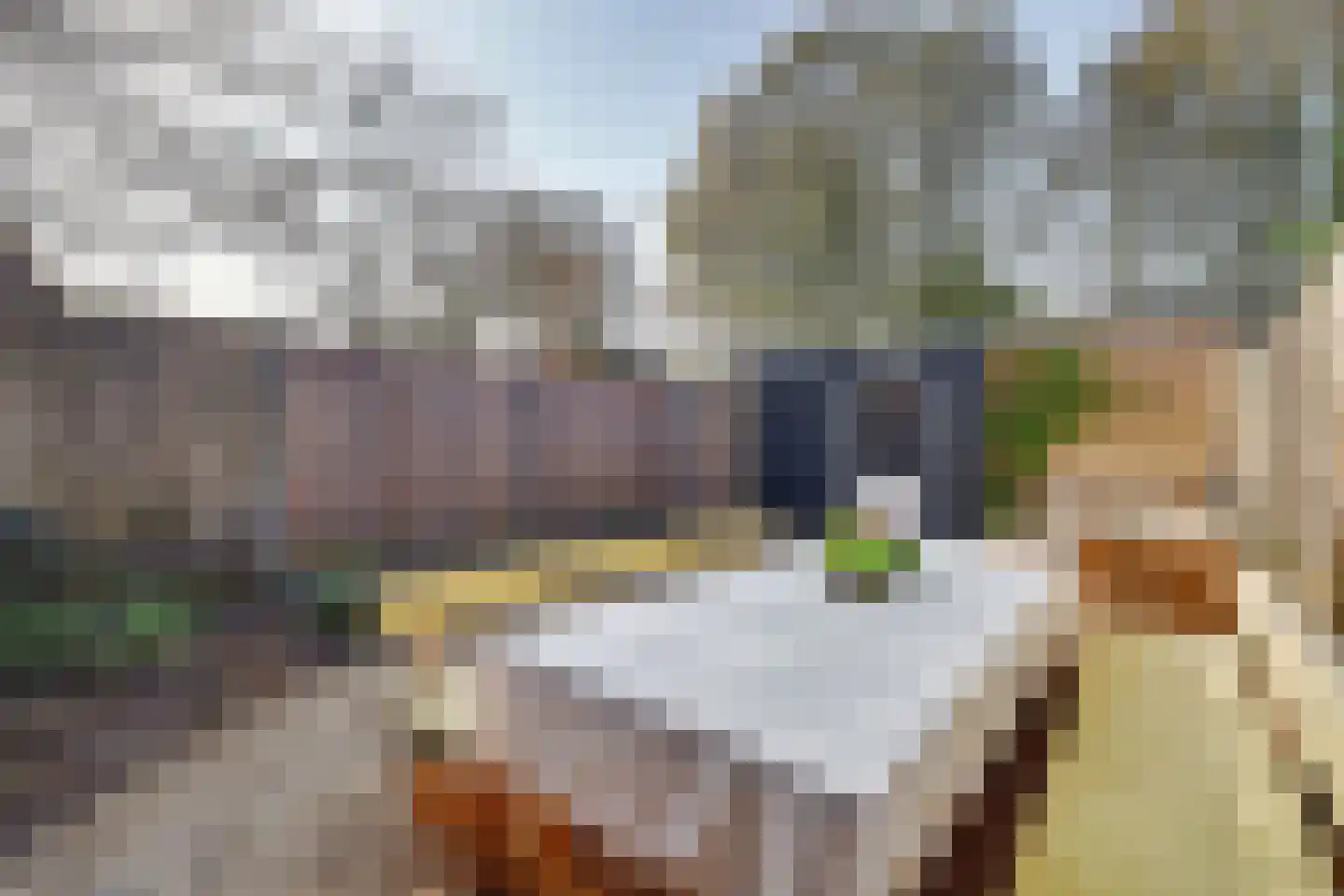Haagbeukstraat 74 Lent thumbnail 29