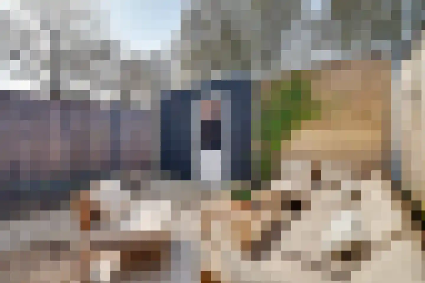 Haagbeukstraat 74 Lent thumbnail 30
