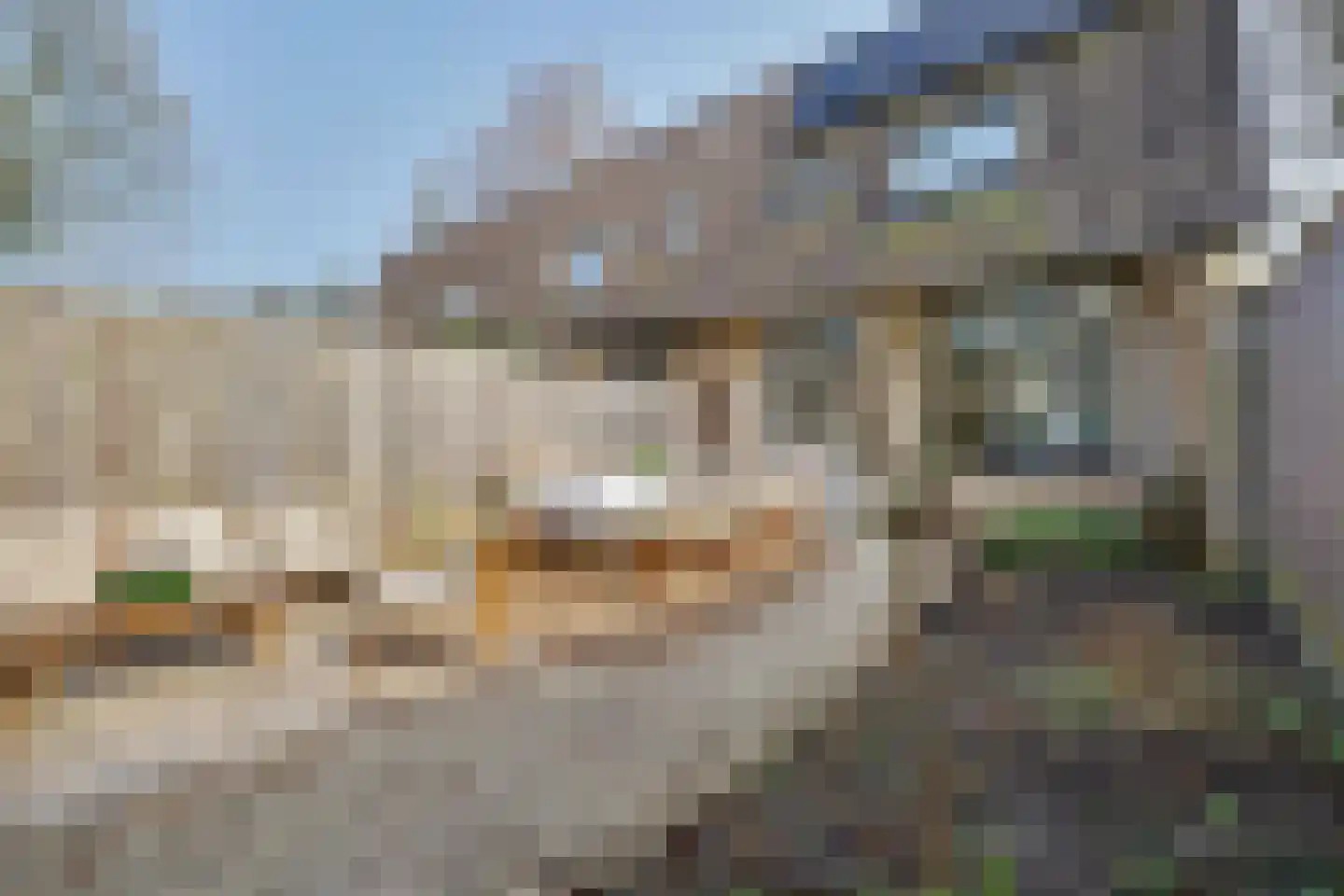 Haagbeukstraat 74 Lent thumbnail 32