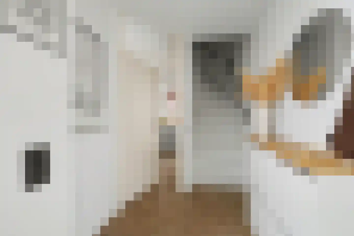 Haagbeukstraat 74 Lent thumbnail 7