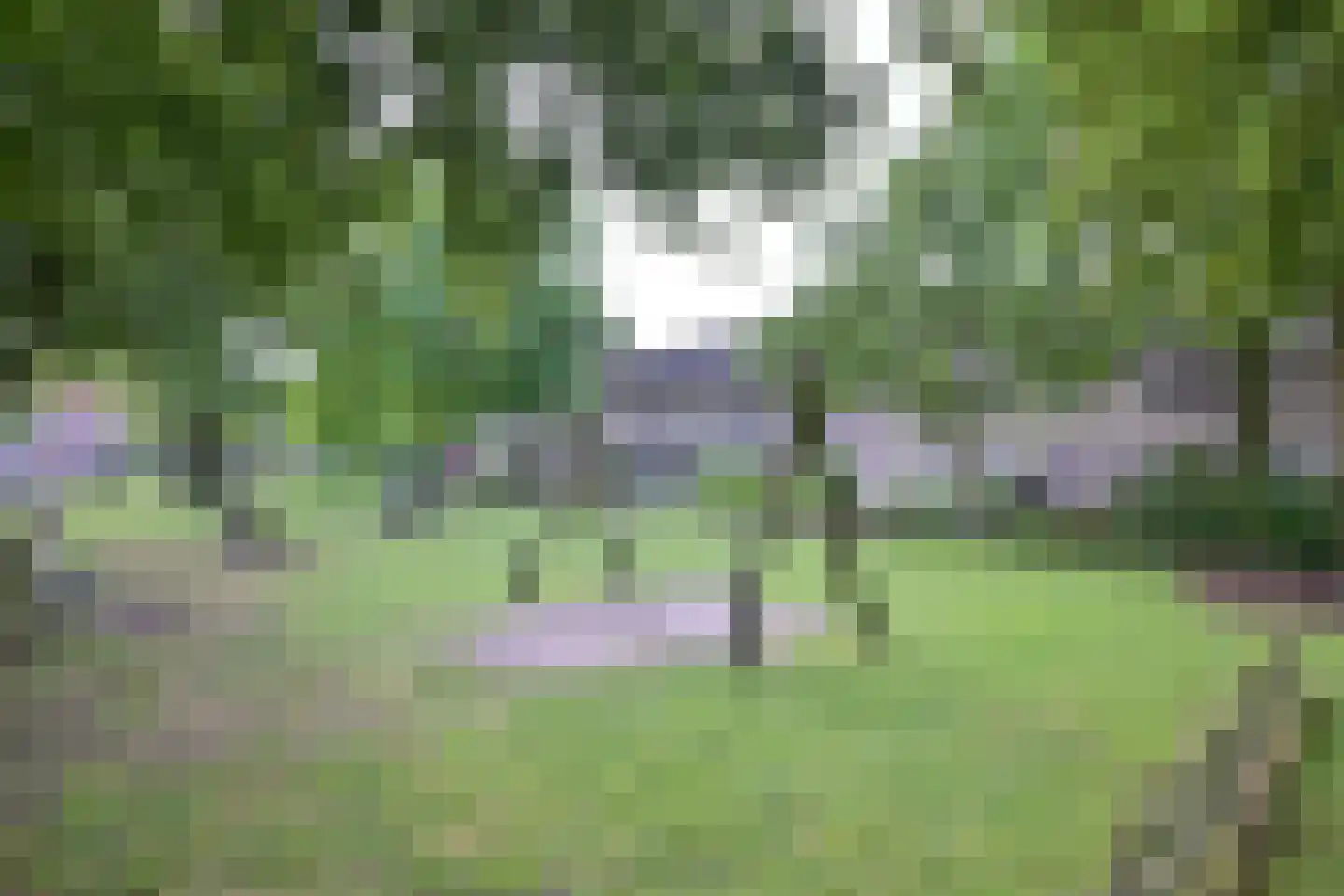 Haagbeukweg 10 Deventer thumbnail 30