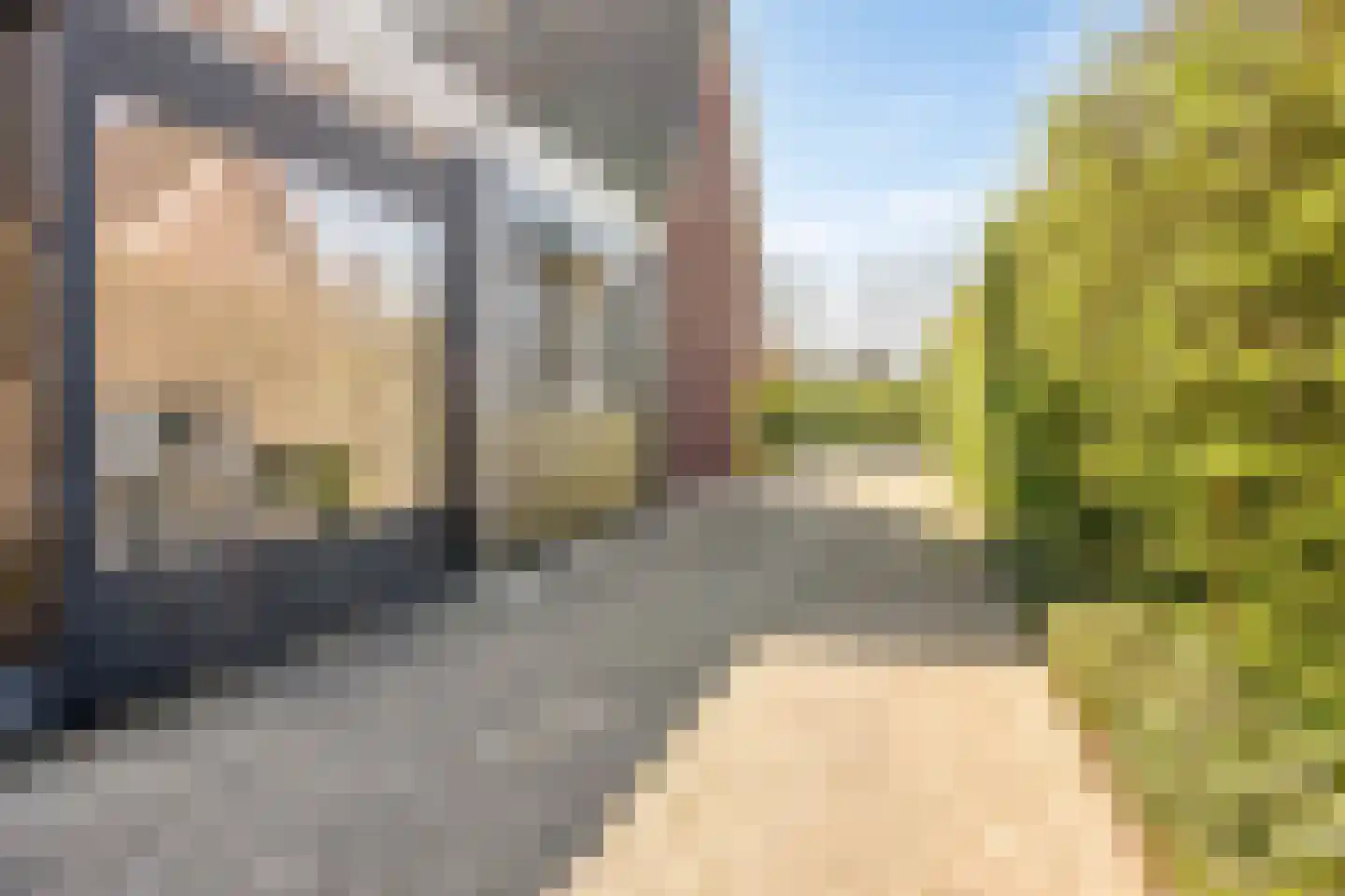 Haagdijk 13 's-Gravenpolder thumbnail 52