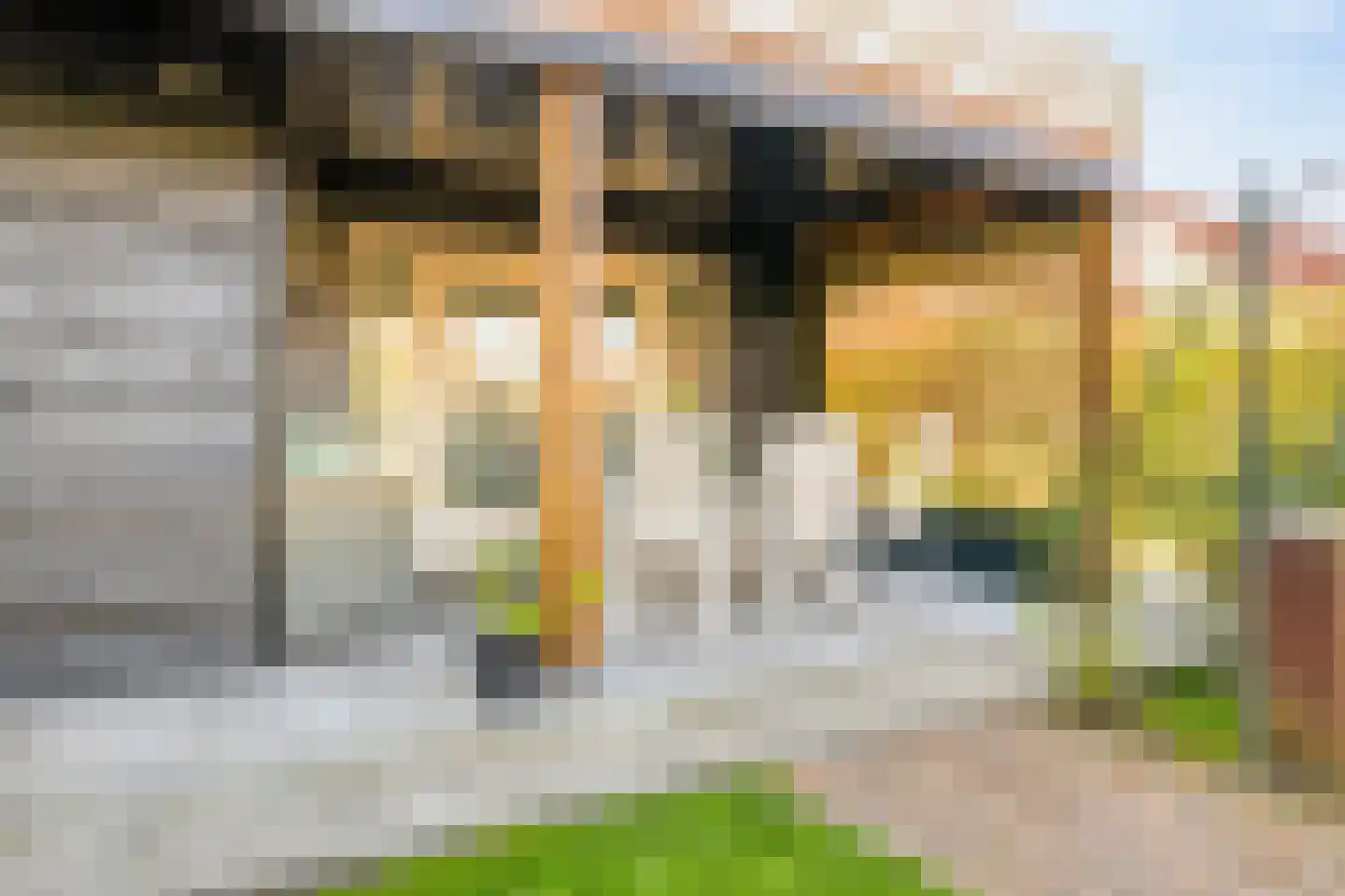 Haagdijk 13 's-Gravenpolder thumbnail 55