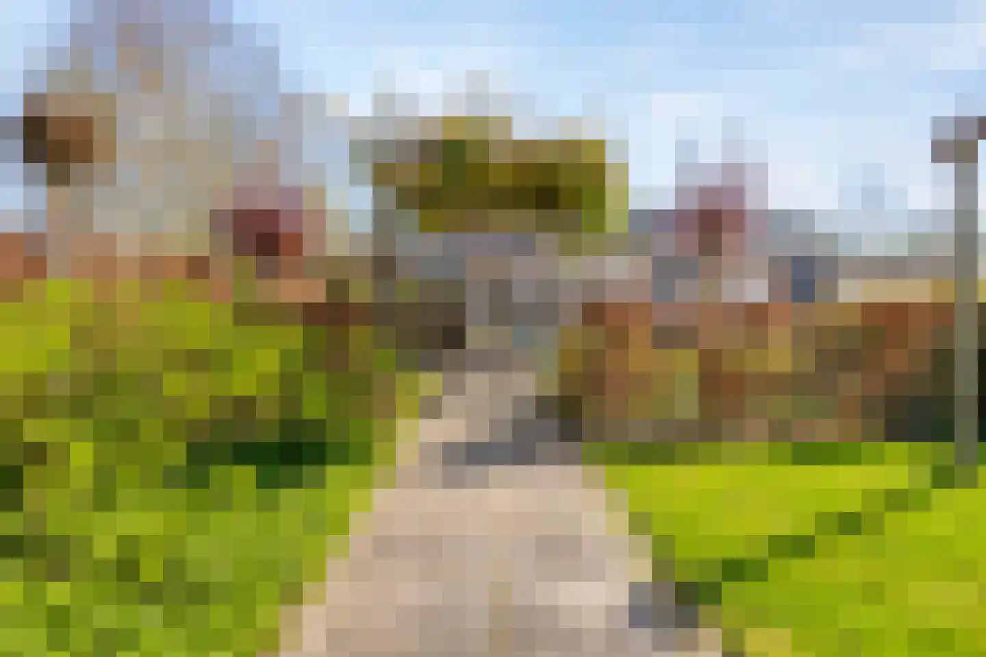 Haagdijk 13 's-Gravenpolder thumbnail 64
