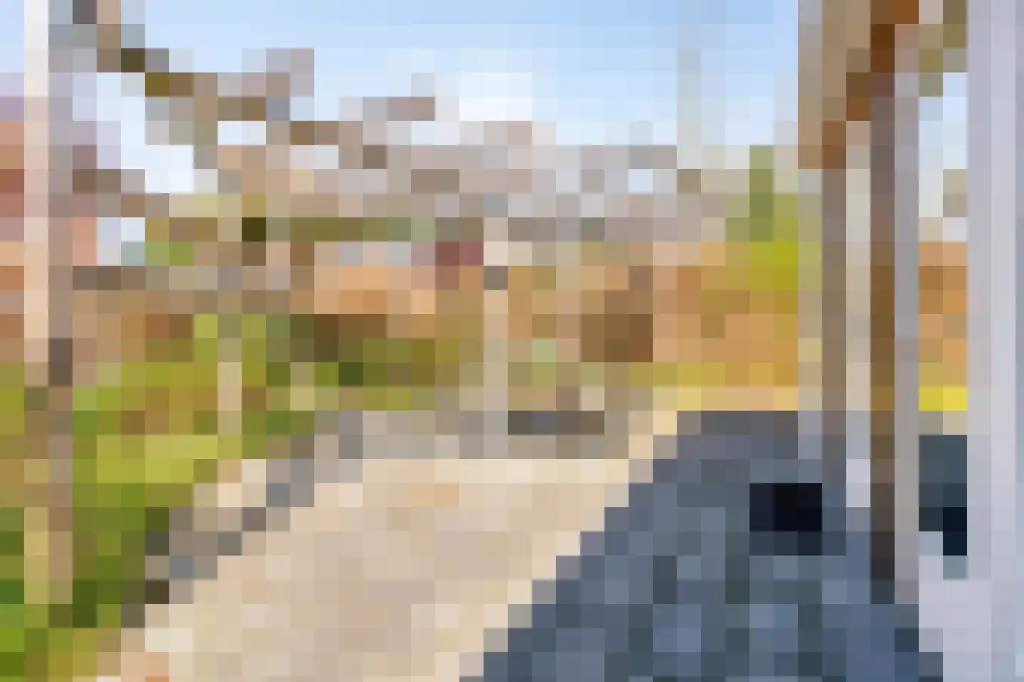Haagdijk 13 's-Gravenpolder thumbnail 65