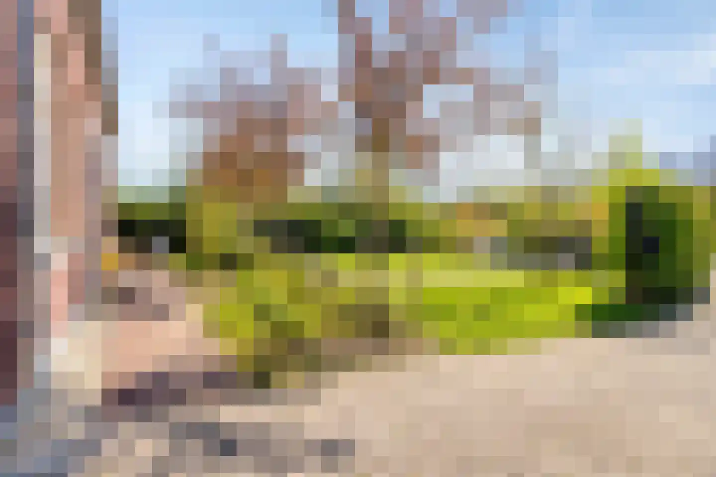 Haagdijk 13 's-Gravenpolder thumbnail 83