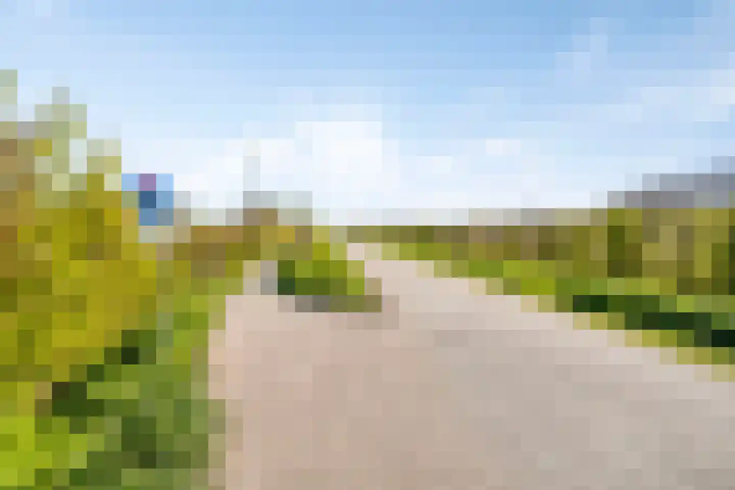 Haagdijk 13 's-Gravenpolder thumbnail 84