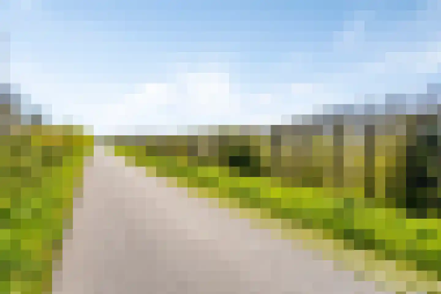 Haagdijk 13 's-Gravenpolder thumbnail 85