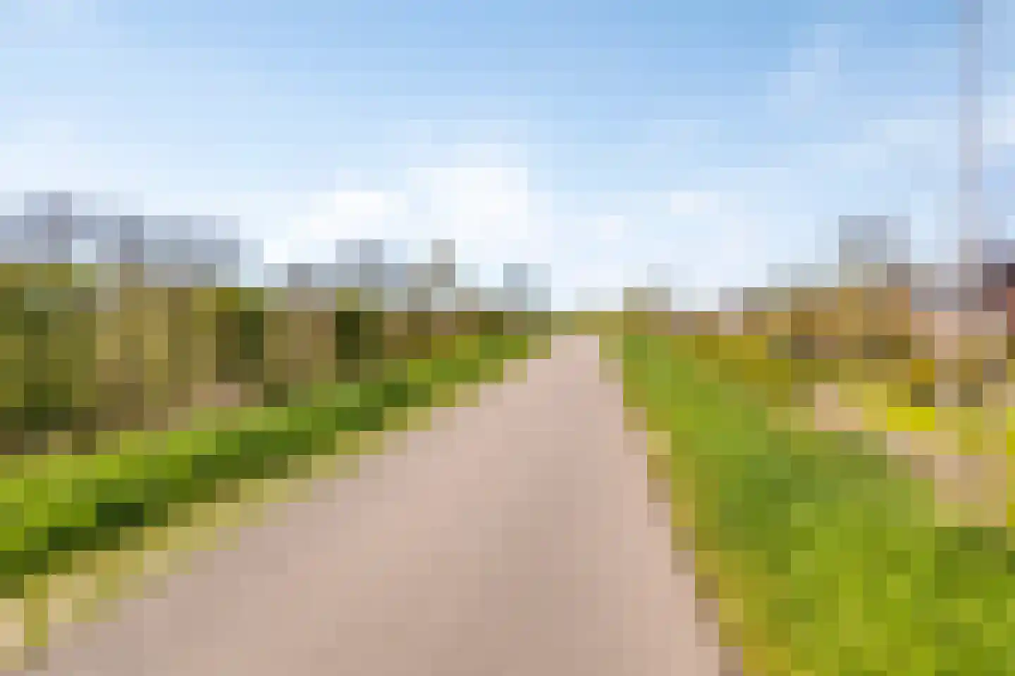 Haagdijk 13 's-Gravenpolder thumbnail 86