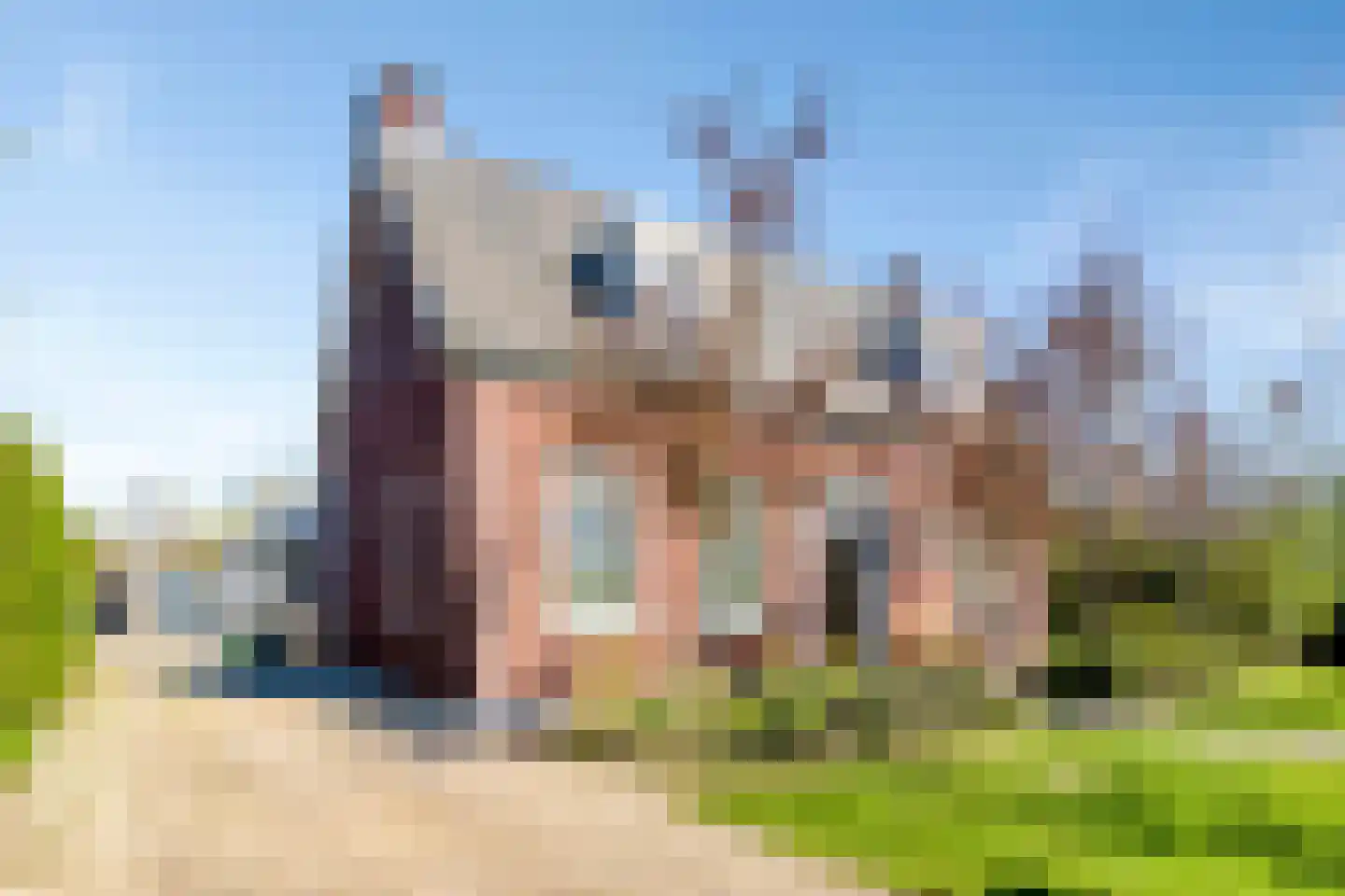 Haagdijk 13 's-Gravenpolder thumbnail 9