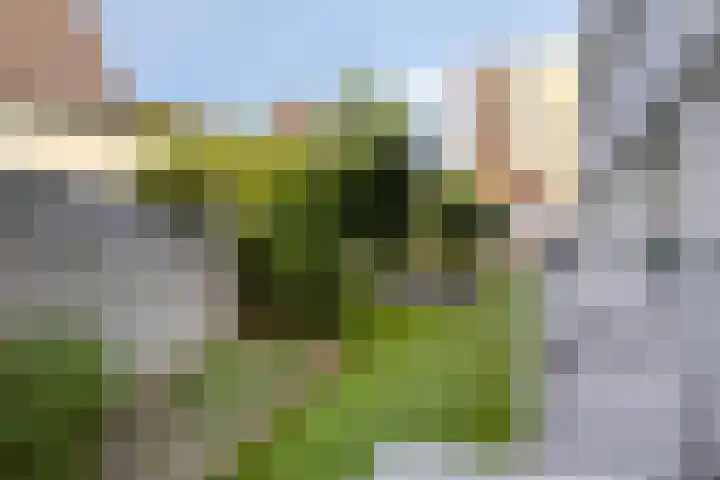Haagdijk 142 A1 Breda thumbnail 23