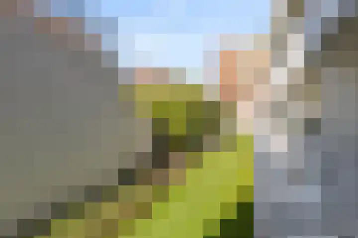 Haagdijk 142 B14 Breda thumbnail 35