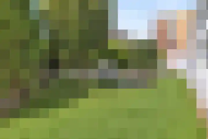 Haagdijk 142 B14 Breda thumbnail 36