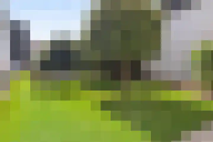 Haagdijk 142 B14 Breda thumbnail 37